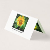 Zonnebloem Glorie Kaart (Achterkant)