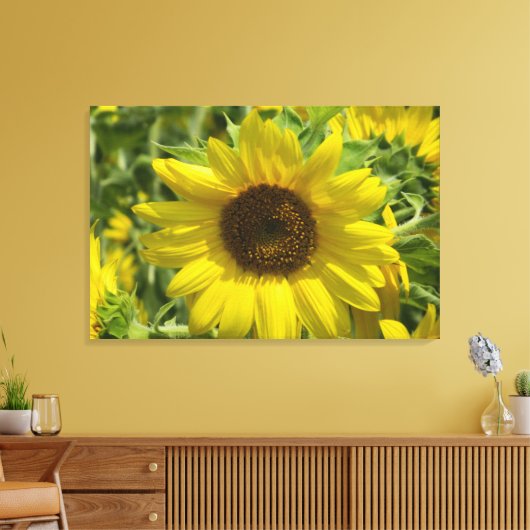 Zonnebloem Glory (WestCreek) Ingewikkeld Canvas Pr (Insitu (Woonkamer))