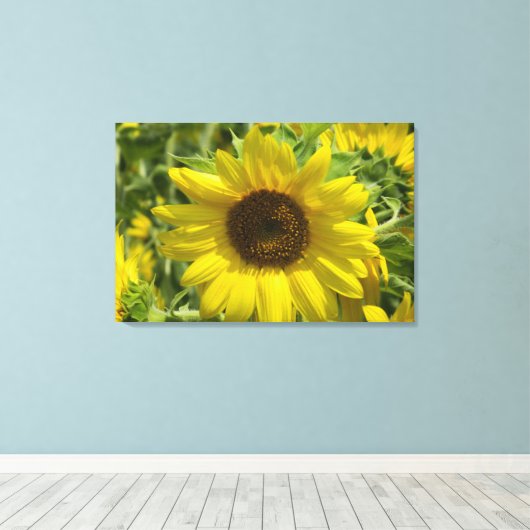 Zonnebloem Glory (WestCreek) Ingewikkeld Canvas Pr (Insitu (Houten vloer))