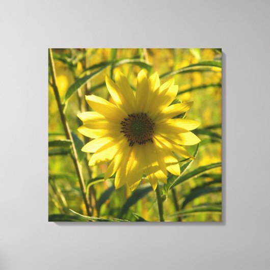 Zonnebloem Glow Wrapped Canvas Afdrukken 24x24 (Voorkant)