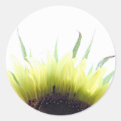 Zonnebloem goedemorgen sticker (Voorkant)