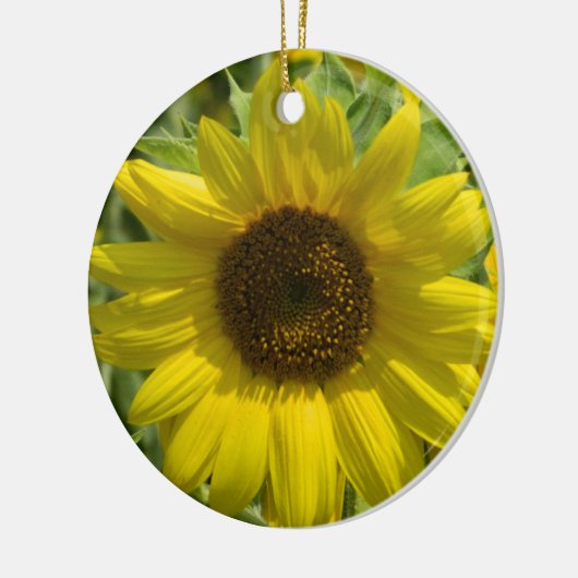 Zonnebloem Gold Ornament (Links)