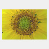 Zonnebloem Golden Ratio Inpakpapier Vel (Voorkant 3)