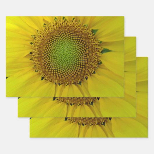 Zonnebloem Golden Ratio Inpakpapier Vel (Set)