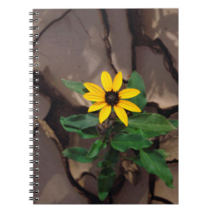 Zonnebloem groeiend uit gebarsten modder notitieboek
