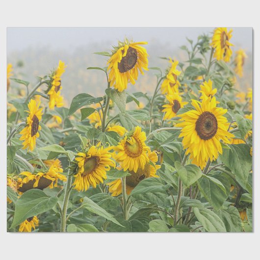 Zonnebloem Groen Geel Schitterende Ontvlechting Cadeaupapier (Vlak)