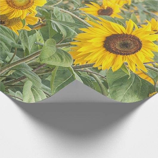 Zonnebloem Groen Geel Schitterende Ontvlechting Cadeaupapier (Hoek)