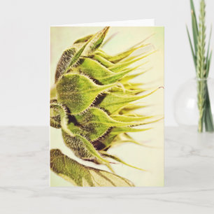Zonnebloem Groen Profiel Art Note Kaart