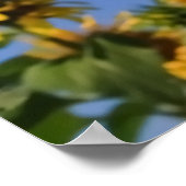 ZONNEBLOEM GROETEN ONLINE + POSTER (Hoek)