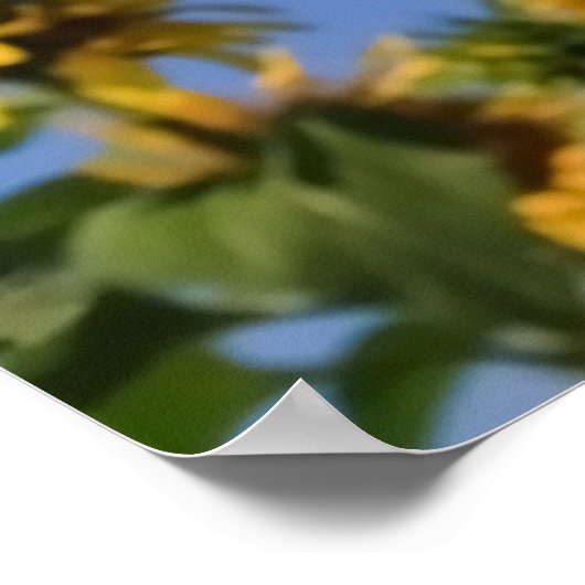 ZONNEBLOEM GROETEN ONLINE + POSTER (Hoek)