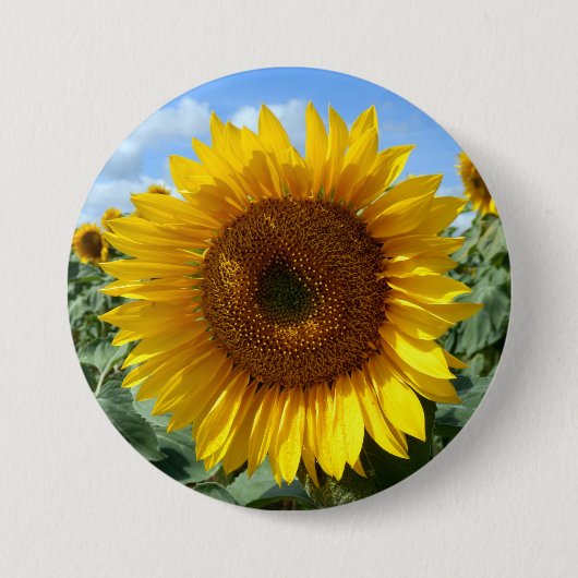 Zonnebloem Grote ronde Badge Ronde Button 7,6 Cm (Voorkant)