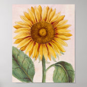  zonnebloem Happy Flower Poster (Voorkant)