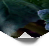 Zonnebloem Hart Late Summer Flower Perfect Poster (Hoek)