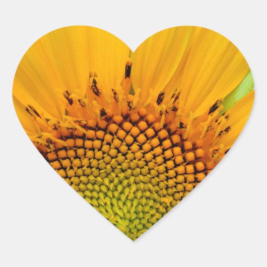 Zonnebloem Hart Sticker (Voorkant)