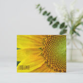 Zonnebloem Horizontaal Briefkaart (Staand voorkant)