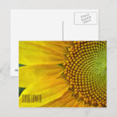 Zonnebloem Horizontaal Briefkaart (Voorkant / Achterkant)