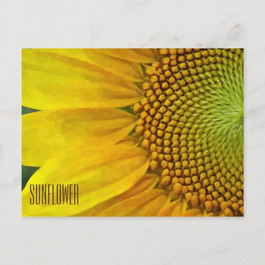 Zonnebloem Horizontaal Briefkaart (Voorkant)