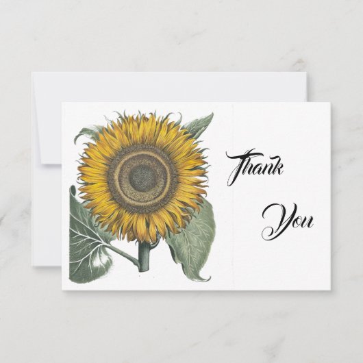 Zonnebloem Hortus Eystettensis, 1713 Bedankkaart (Voorkant)