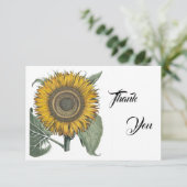 Zonnebloem Hortus Eystettensis, 1713 Bedankkaart (Staand voorkant)