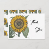 Zonnebloem Hortus Eystettensis, 1713 Bedankkaart (Voorkant / Achterkant)