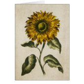  zonnebloem-illustratie van flessen (Voorkant)