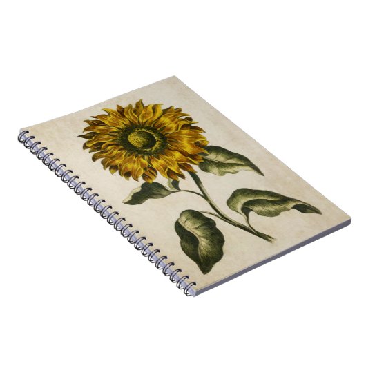 zonnebloem-illustratie van flessen notitieboek (Rechterzijde)