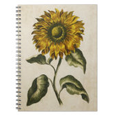  zonnebloem-illustratie van flessen notitieboek (Voorkant)