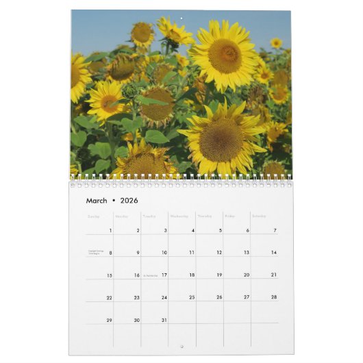 zonnebloem in blauwe hemel kleurrijke zomer bloese kalender (Mar 2026)