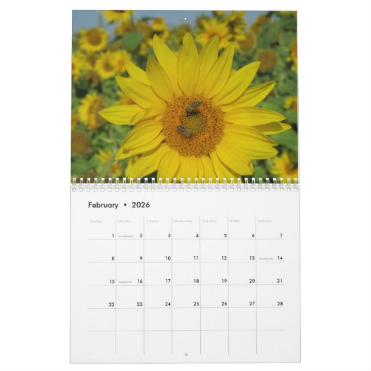 zonnebloem in blauwe hemel kleurrijke zomer bloese kalender (Feb 2026)