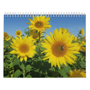 zonnebloem in blauwe hemel kleurrijke zomer bloese kalender