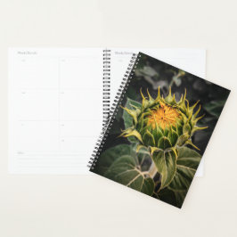 Zonnebloem in Bloom Planner