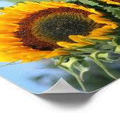 Zonnebloem in de Abstracte zonnebloem Poster (Hoek)