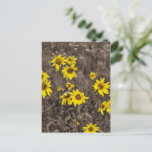 Zonnebloem in de Rocky Mountain Briefkaart (Staand voorkant)