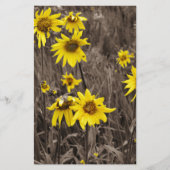 Zonnebloem in de Rocky Mountain Briefpapier (Voorkant)