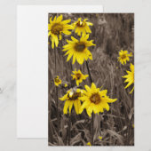 Zonnebloem in de Rocky Mountain Briefpapier (Voorkant / Achterkant)
