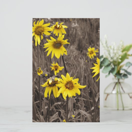 Zonnebloem in de Rocky Mountain Briefpapier (Staand voorkant)