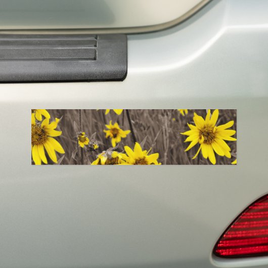 Zonnebloem in de Rocky Mountain Bumpersticker (Op auto)