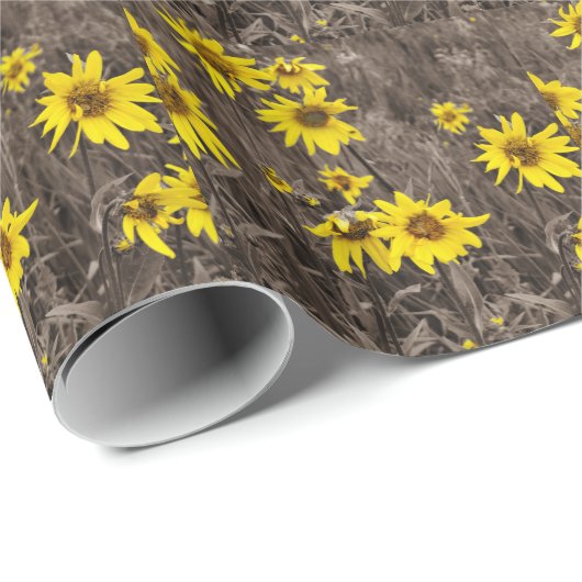 Zonnebloem in de Rocky Mountain Cadeaupapier (Rol Hoek)