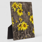 Zonnebloem in de Rocky Mountain Fotoplaat (Zijkant)