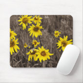 Zonnebloem in de Rocky Mountain Muismat (Met muis)