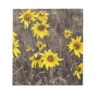 Zonnebloem in de Rocky Mountain Notitieblok