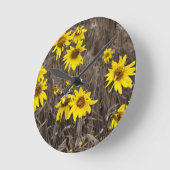 Zonnebloem in de Rocky Mountain Ronde Klok (Hoek)