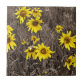 Zonnebloem in de Rocky Mountain Tegeltje (Voorkant)