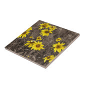 Zonnebloem in de Rocky Mountain Tegeltje (Zijkant)