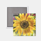 Zonnebloem in de zon magneet (Voorkant / Achterkant)