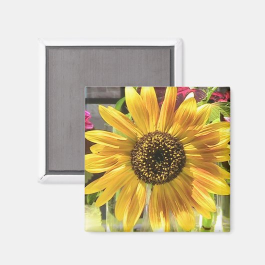 Zonnebloem in de zon magneet (Voorkant / Achterkant)