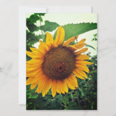 Zonnebloem in het Wenskaart van de tuin blanco (Voorkant)