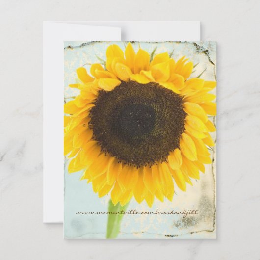 Zonnebloem in nood Weddenschap Bespaar de Datum Save The Date (Achterkant)