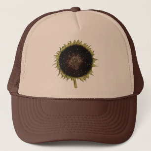 Zonnebloem in volbloei trucker pet