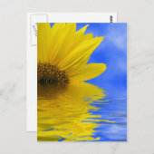 Zonnebloem in water briefkaart (Voorkant / Achterkant)